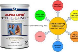 Thực phẩm bổ sung Alpha Lipid LifeLine